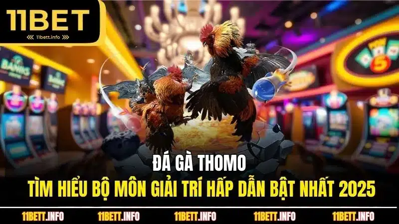 đá gà thomo