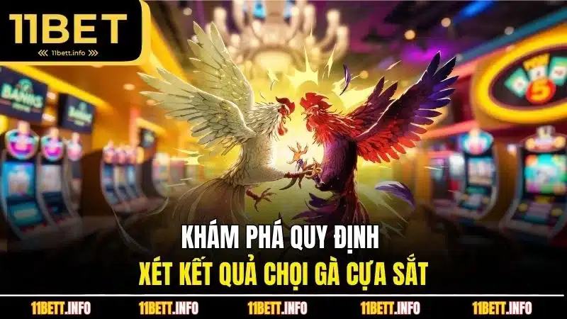 Khám phá quy định xét kết quả chọi gà cựa sắt