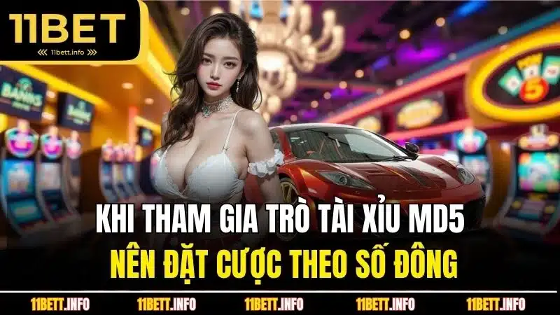 Khi tham gia trò tài xỉu MD5 nên đặt cược theo số đông