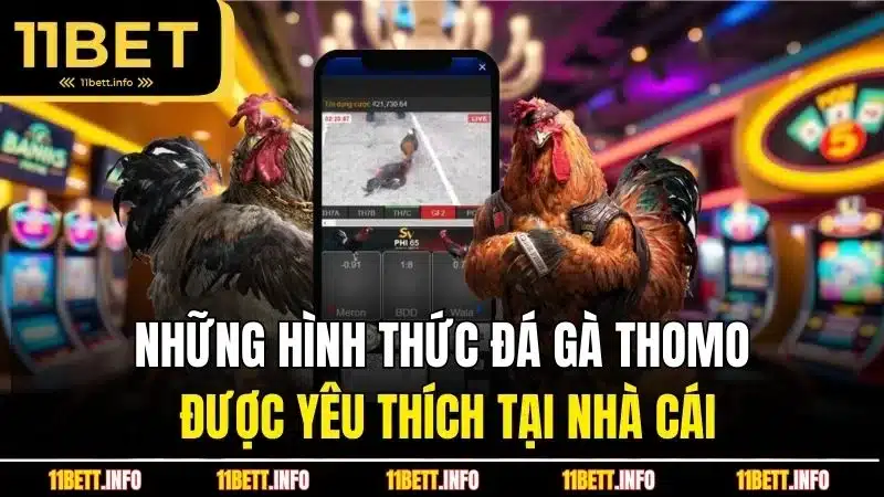 Những hình thức đá gà Thomo được yêu thích tại nhà cái