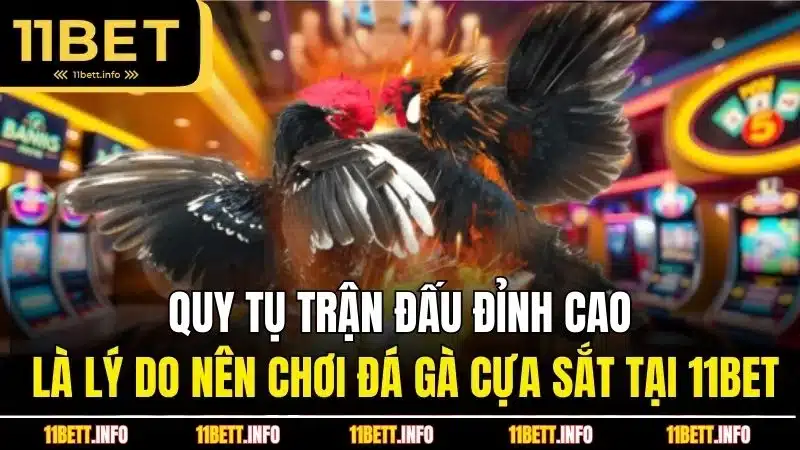 Quy tụ trận đấu đỉnh cao là lý do nên chơi đá gà cựa sắt tại 11BET