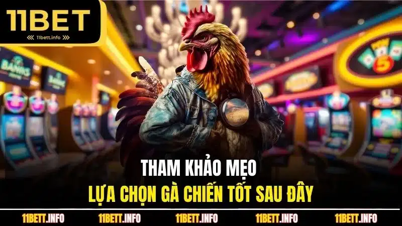 Tham khảo mẹo lựa chọn gà chiến tốt sau đây