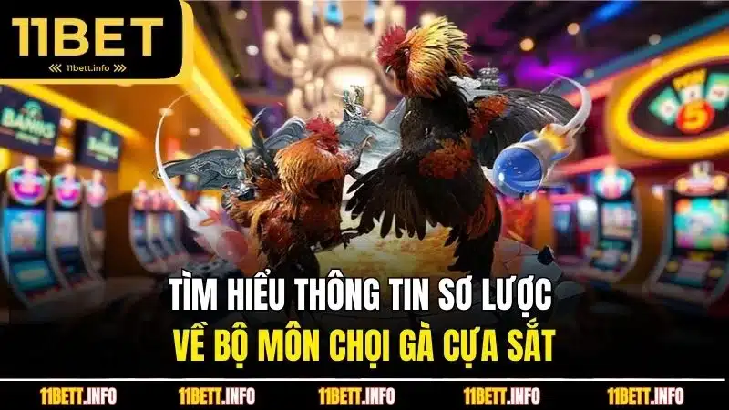 Tìm hiểu thông tin sơ lược về bộ môn chọi gà cựa sắt