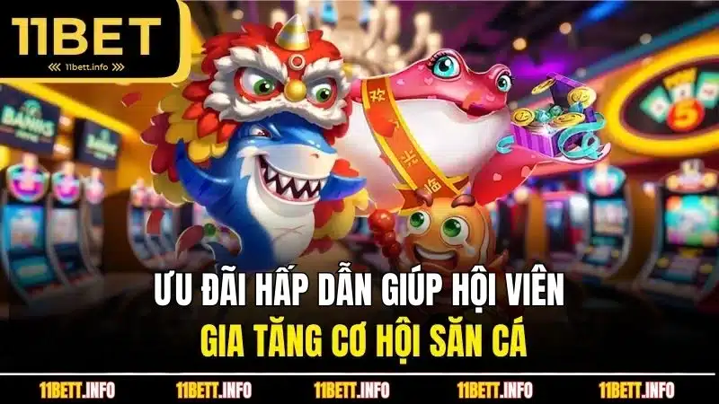 Ưu đãi hấp dẫn giúp hội viên gia tăng cơ hội săn cá