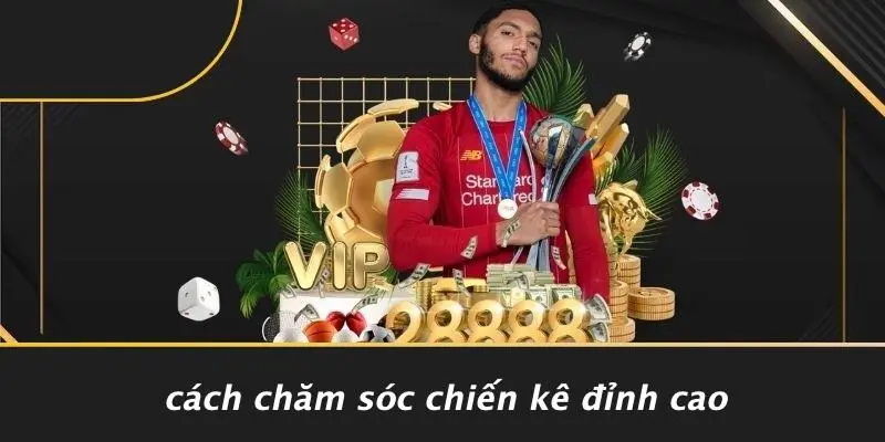 Cách Chăm Sóc Chiến Kê Đỉnh Cao