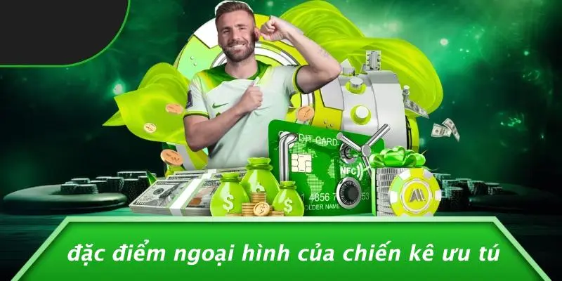 Đặc Điểm Ngoại Hình Của Chiến Kê Ưu Tú