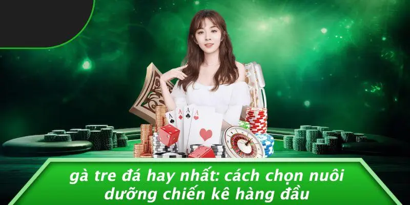 Gà Tre Đá Hay Nhất